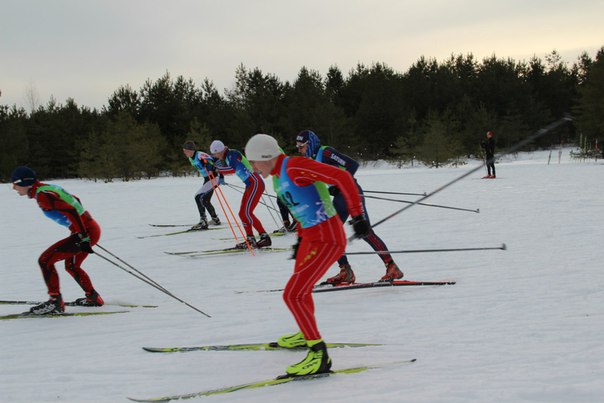 участники бегут на лыжах